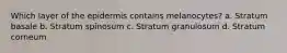 Which layer of the epidermis contains melanocytes? a. Stratum basale b. Stratum spinosum c. Stratum granulosum d. Stratum corneum