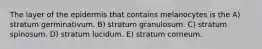 The layer of the epidermis that contains melanocytes is the A) stratum germinativum. B) stratum granulosum. C) stratum spinosum. D) stratum lucidum. E) stratum corneum.