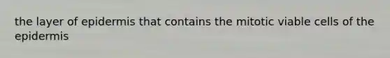 the layer of epidermis that contains the mitotic viable cells of <a href='https://www.questionai.com/knowledge/kBFgQMpq6s-the-epidermis' class='anchor-knowledge'>the epidermis</a>