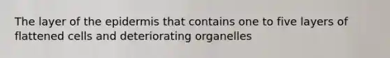 The layer of the epidermis that contains one to five layers of flattened cells and deteriorating organelles