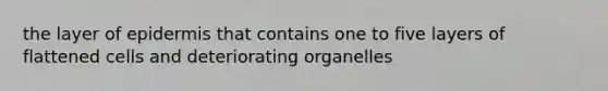 the layer of epidermis that contains one to five layers of flattened cells and deteriorating organelles