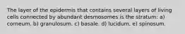 The layer of the epidermis that contains several layers of living cells connected by abundant desmosomes is the stratum: a) corneum. b) granulosum. c) basale. d) lucidum. e) spinosum.