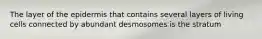 The layer of the epidermis that contains several layers of living cells connected by abundant desmosomes is the stratum