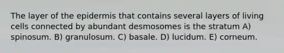 The layer of the epidermis that contains several layers of living cells connected by abundant desmosomes is the stratum A) spinosum. B) granulosum. C) basale. D) lucidum. E) corneum.