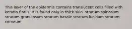 This layer of the epidermis contains translucent cells filled with keratin fibrils. It is found only in thick skin. stratum spinosum stratum granulosum stratum basale stratum lucidum stratum corneum