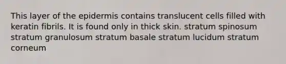 This layer of <a href='https://www.questionai.com/knowledge/kBFgQMpq6s-the-epidermis' class='anchor-knowledge'>the epidermis</a> contains translucent cells filled with keratin fibrils. It is found only in thick skin. stratum spinosum stratum granulosum stratum basale stratum lucidum stratum corneum