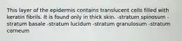 This layer of the epidermis contains translucent cells filled with keratin fibrils. It is found only in thick skin. -stratum spinosum -stratum basale -stratum lucidum -stratum granulosum -stratum corneum