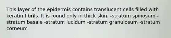 This layer of the epidermis contains translucent cells filled with keratin fibrils. It is found only in thick skin. -stratum spinosum -stratum basale -stratum lucidum -stratum granulosum -stratum corneum