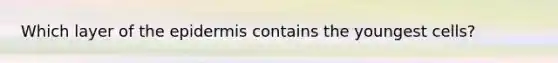 Which layer of the epidermis contains the youngest cells?