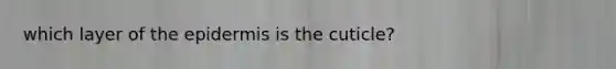 which layer of the epidermis is the cuticle?