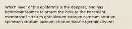 Which layer of the epidermis is the deepest, and has hemidesmosomes to attach the cells to the basement membrane? stratum granulosum stratum corneum stratum spinosum stratum lucidum stratum basale (germinativum)