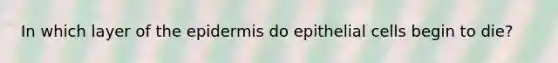 In which layer of the epidermis do epithelial cells begin to die?