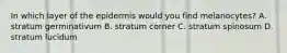 In which layer of the epidermis would you find melanocytes? A. stratum germinativum B. stratum corner C. stratum spinosum D. stratum lucidum