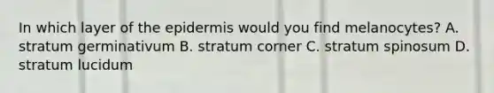 In which layer of the epidermis would you find melanocytes? A. stratum germinativum B. stratum corner C. stratum spinosum D. stratum lucidum