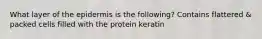 What layer of the epidermis is the following? Contains flattered & packed cells filled with the protein keratin