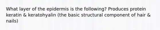 What layer of the epidermis is the following? Produces protein keratin & keratohyalin (the basic structural component of hair & nails)