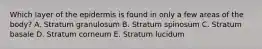 Which layer of the epidermis is found in only a few areas of the body? A. Stratum granulosum B. Stratum spinosum C. Stratum basale D. Stratum corneum E. Stratum lucidum