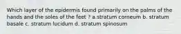 Which layer of the epidermis found primarily on the palms of the hands and the soles of the feet ? a.stratum corneum b. stratum basale c. stratum lucidum d. stratum spinosum