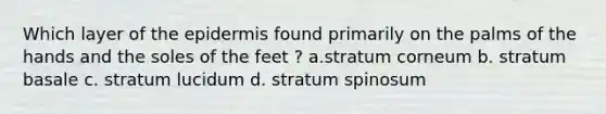 Which layer of the epidermis found primarily on the palms of the hands and the soles of the feet ? a.stratum corneum b. stratum basale c. stratum lucidum d. stratum spinosum