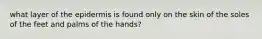 what layer of the epidermis is found only on the skin of the soles of the feet and palms of the hands?