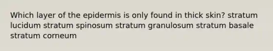 Which layer of the epidermis is only found in thick skin? stratum lucidum stratum spinosum stratum granulosum stratum basale stratum corneum