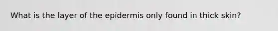 What is the layer of the epidermis only found in thick skin?