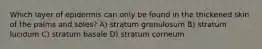 Which layer of epidermis can only be found in the thickened skin of the palms and soles? A) stratum granulosum B) stratum lucidum C) stratum basale D) stratum corneum