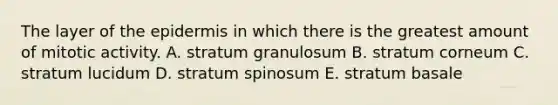 The layer of <a href='https://www.questionai.com/knowledge/kBFgQMpq6s-the-epidermis' class='anchor-knowledge'>the epidermis</a> in which there is the greatest amount of mitotic activity. A. stratum granulosum B. stratum corneum C. stratum lucidum D. stratum spinosum E. stratum basale