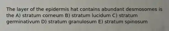 The layer of the epidermis hat contains abundant desmosomes is the A) stratum corneum B) stratum lucidum C) stratum germinativum D) stratum granulosum E) stratum spinosum