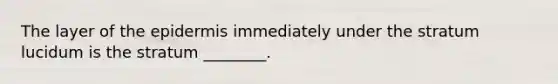The layer of the epidermis immediately under the stratum lucidum is the stratum ________.