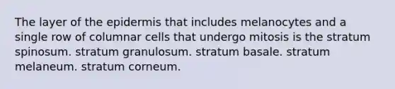 The layer of the epidermis that includes melanocytes and a single row of columnar cells that undergo mitosis is the stratum spinosum. stratum granulosum. stratum basale. stratum melaneum. stratum corneum.