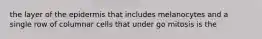 the layer of the epidermis that includes melanocytes and a single row of columnar cells that under go mitosis is the