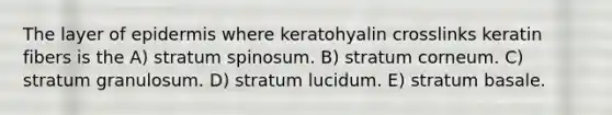 The layer of epidermis where keratohyalin crosslinks keratin fibers is the A) stratum spinosum. B) stratum corneum. C) stratum granulosum. D) stratum lucidum. E) stratum basale.