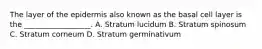 The layer of the epidermis also known as the basal cell layer is the __________________. A. Stratum lucidum B. Stratum spinosum C. Stratum corneum D. Stratum germinativum