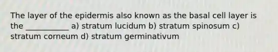 The layer of the epidermis also known as the basal cell layer is the ___________ a) stratum lucidum b) stratum spinosum c) stratum corneum d) stratum germinativum