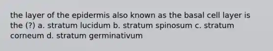 the layer of the epidermis also known as the basal cell layer is the (?) a. stratum lucidum b. stratum spinosum c. stratum corneum d. stratum germinativum