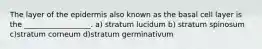 The layer of the epidermis also known as the basal cell layer is the __________________. a) stratum lucidum b) stratum spinosum c)stratum corneum d)stratum germinativum