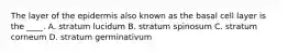 The layer of the epidermis also known as the basal cell layer is the ____. A. stratum lucidum B. stratum spinosum C. stratum corneum D. stratum germinativum