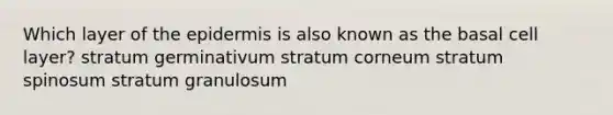 Which layer of the epidermis is also known as the basal cell layer? stratum germinativum stratum corneum stratum spinosum stratum granulosum