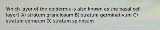 Which layer of the epidermis is also known as the basal cell layer? A) stratum granulosum B) stratum germinativum C) stratum corneum D) stratum spinosum​