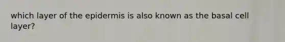 which layer of the epidermis is also known as the basal cell layer?