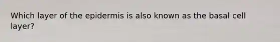 Which layer of the epidermis is also known as the basal cell layer?
