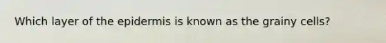 Which layer of the epidermis is known as the grainy cells?