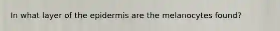 In what layer of the epidermis are the melanocytes found?