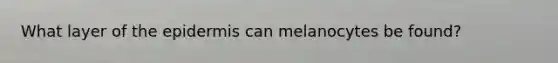 What layer of the epidermis can melanocytes be found?