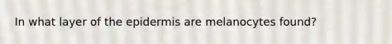 In what layer of the epidermis are melanocytes found?