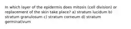 In which layer of the epidermis does mitosis (cell division) or replacement of the skin take place? a) stratum lucidum b) stratum granulosum c) stratum corneum d) stratum germinativum