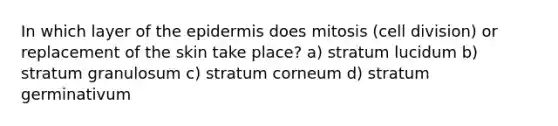 In which layer of the epidermis does mitosis (cell division) or replacement of the skin take place? a) stratum lucidum b) stratum granulosum c) stratum corneum d) stratum germinativum