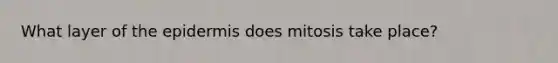 What layer of the epidermis does mitosis take place?