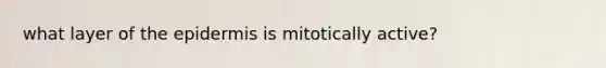 what layer of the epidermis is mitotically active?